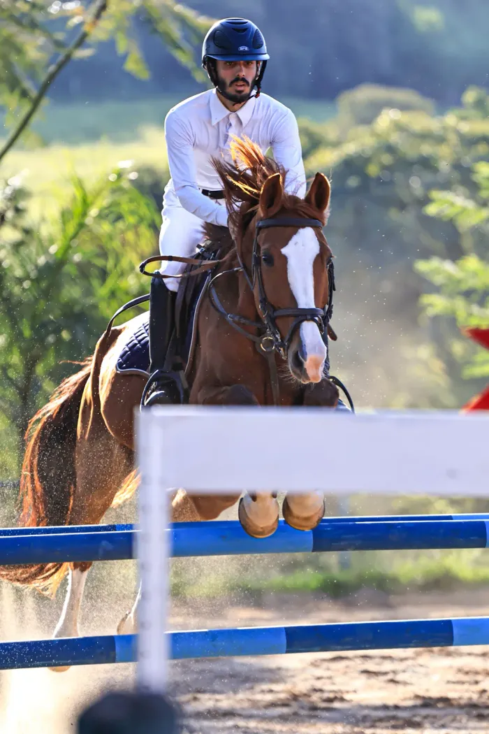 Hipismo